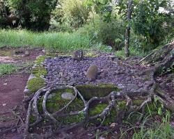 SEJARAH KYAI WILAH KARANG JAMBE