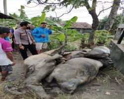 POLRES LEBAK DAN POLSEK PANGGARANG