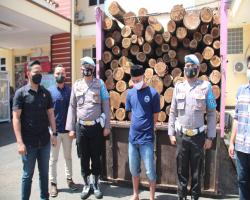 Truk dan muatan Kayu illegal logging  