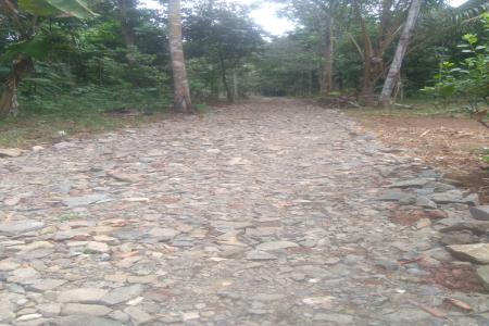 DESA MONTOR DIDUGA TIDAK TRANSPARA