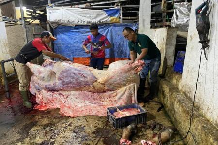 Viral Di Duga RPH Cisurupan Kota Bandu