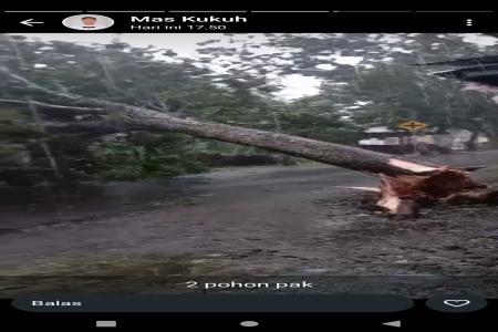 Evakuasi Pohon tumbang di Desa Kedungw