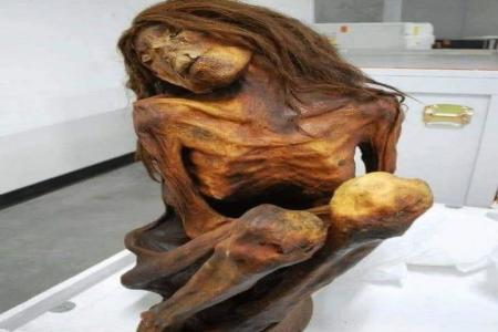 MUMI DERMOLD MERUPAKAN MUMI PEREMP