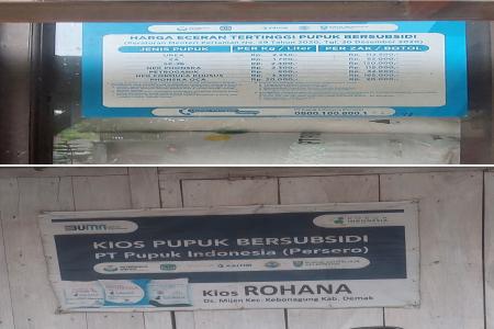 KPL  Diduga jual Pupuk Subsidi Dengan Harga Diatas HET Petani Menjerit