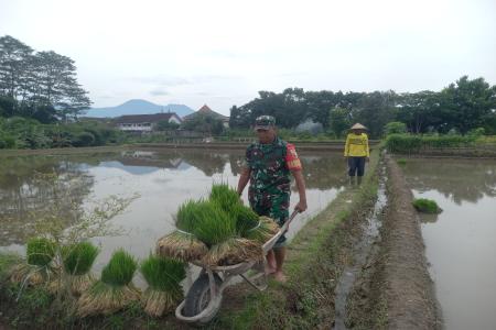 Wujud Kepedulian TNI Pada Ketahanan Pa